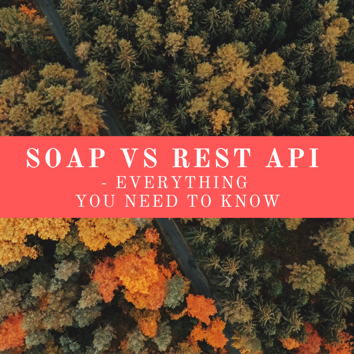 SOAP vs REST API – Everything You Need to Know